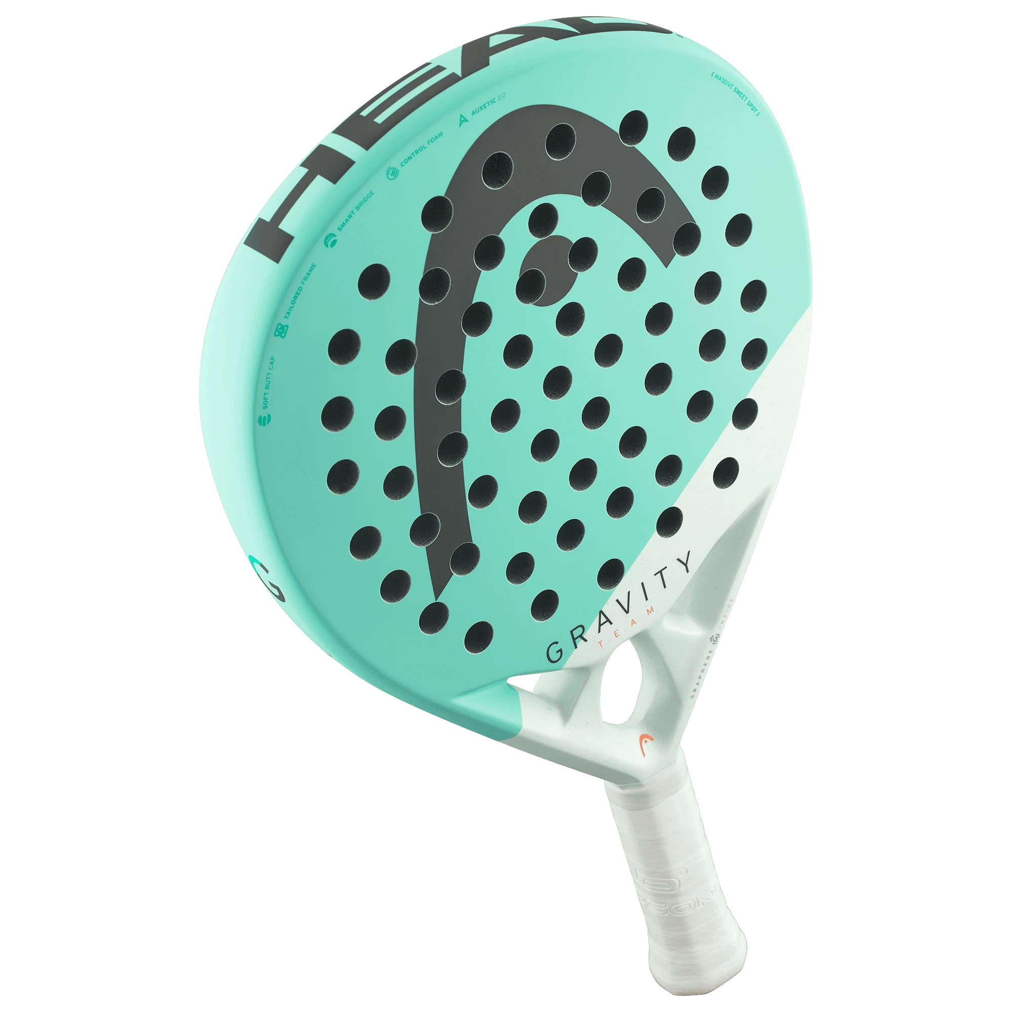 Head Gravity Team 2024