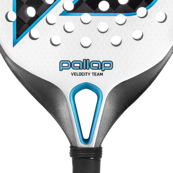 PALLAP Velocity Team