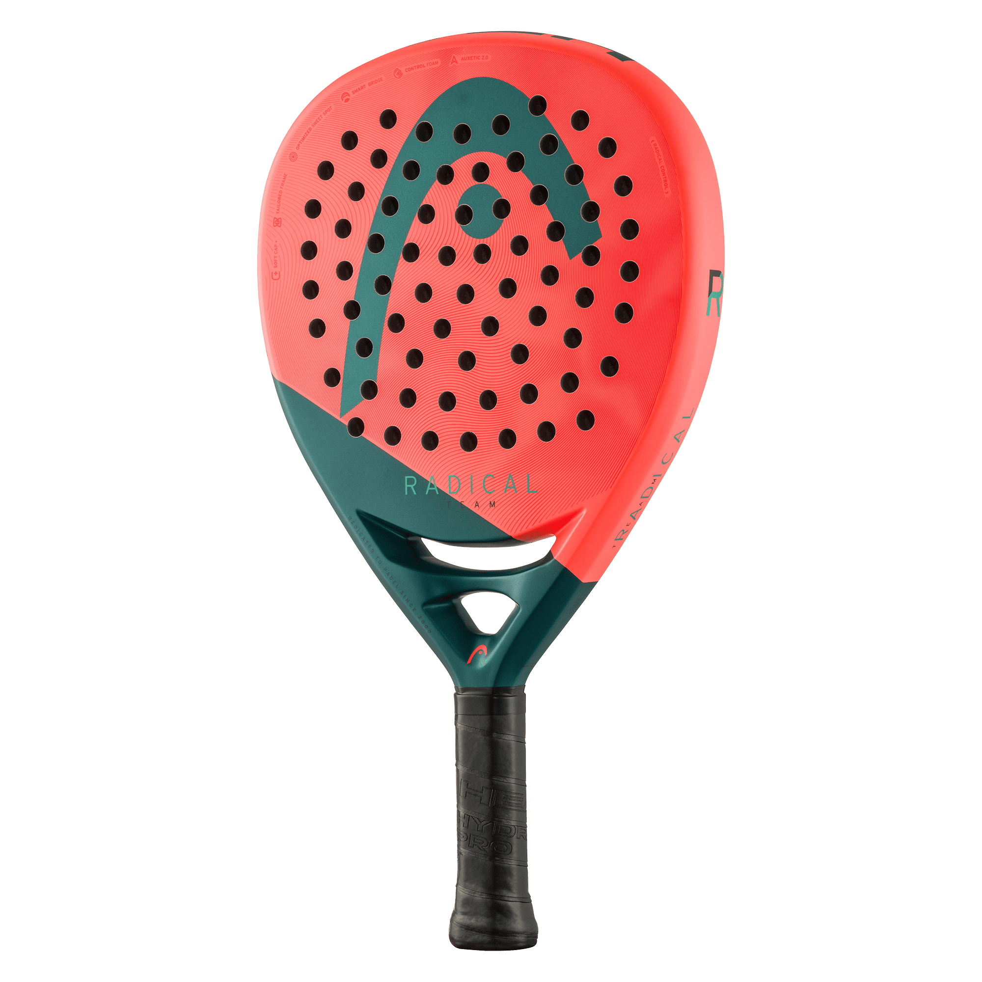 Head RADICAL TEAM 2026